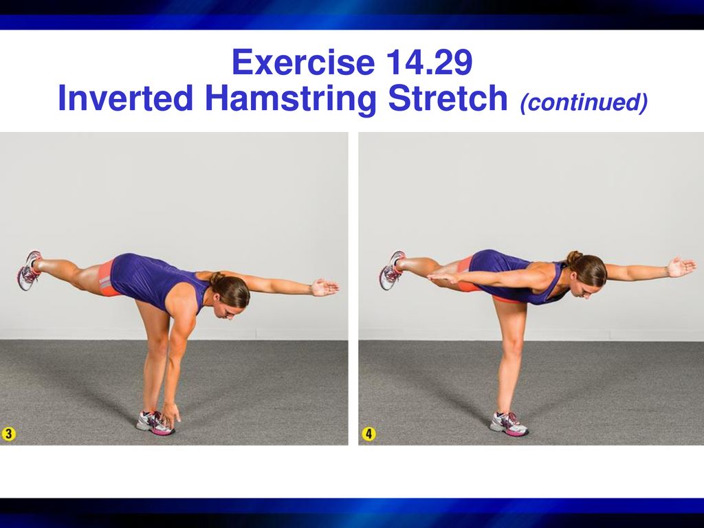 Inverted hamstring stretch sale
